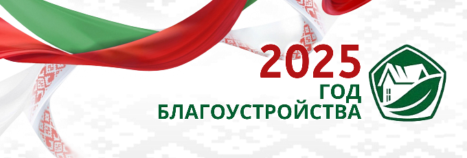 Год благоустройства